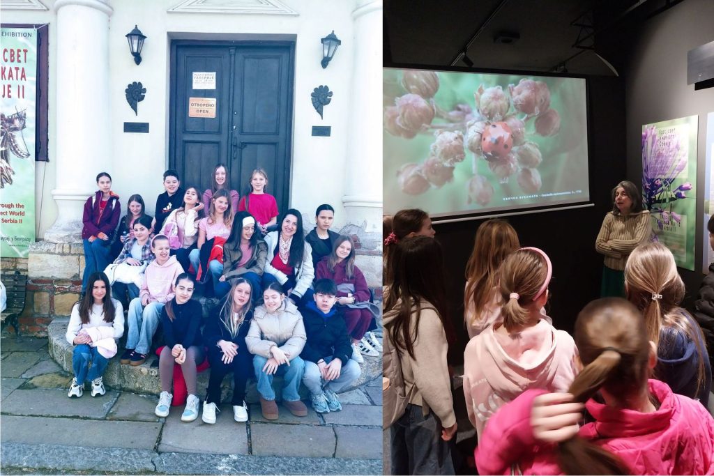 Посета Природњачком музеју